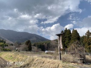 IMG_1887