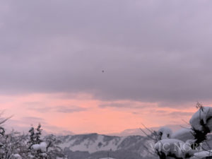 IMG_3218