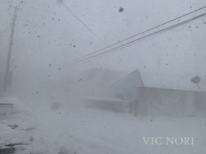 IMG_3263