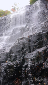 MOV_2129_exported_0